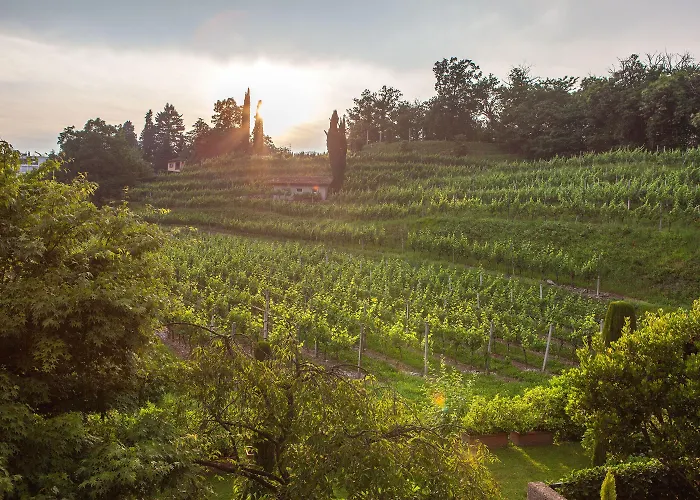 מלון Park Principe